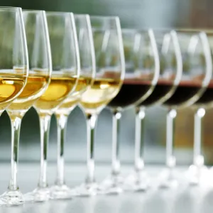 29-Nov Chablis Wine Masterclass