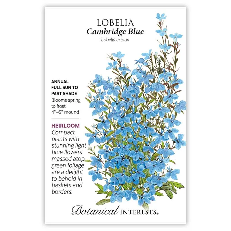 Cambridge Blue Lobelia Seeds