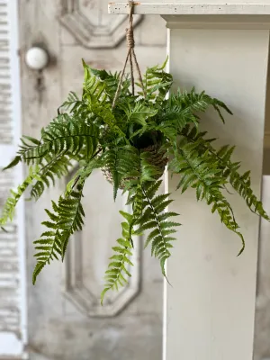 Creel Fern Hanging Basket | Boston | 18" | NOT CURRENTLY IN STOCK-New For Spring 2025!