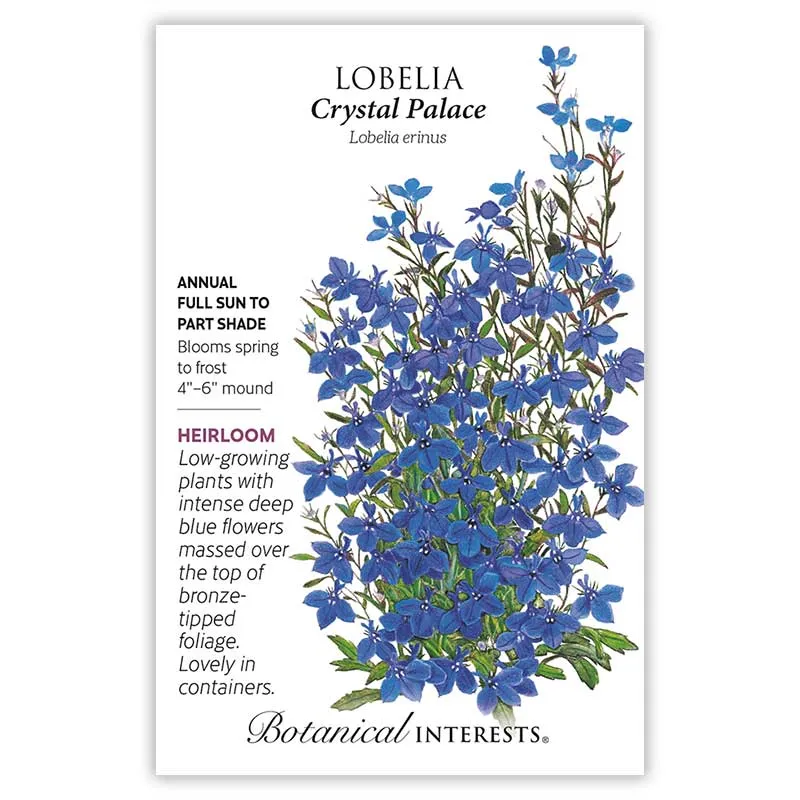 Crystal Palace Lobelia Seeds