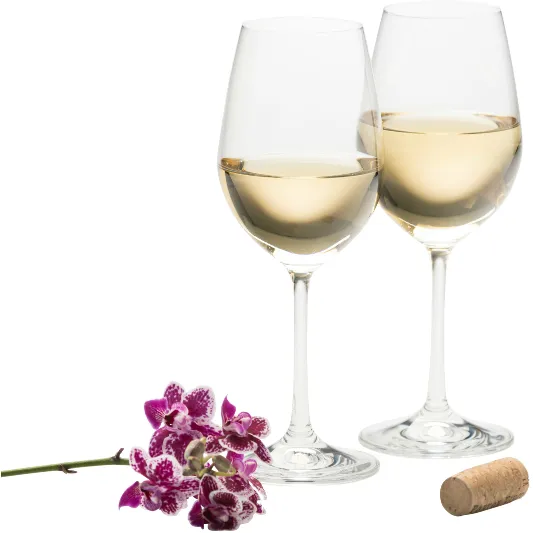 ELEGANCE WINE GLASS PAIR