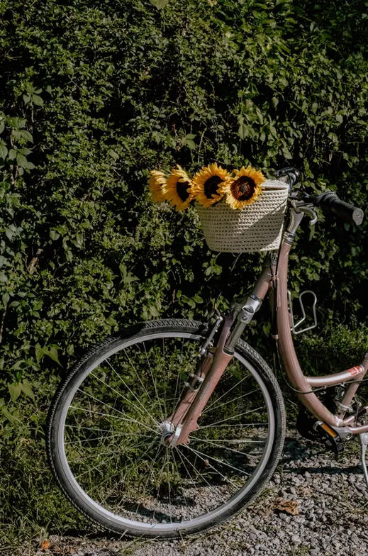 Handwoven Bike Basket