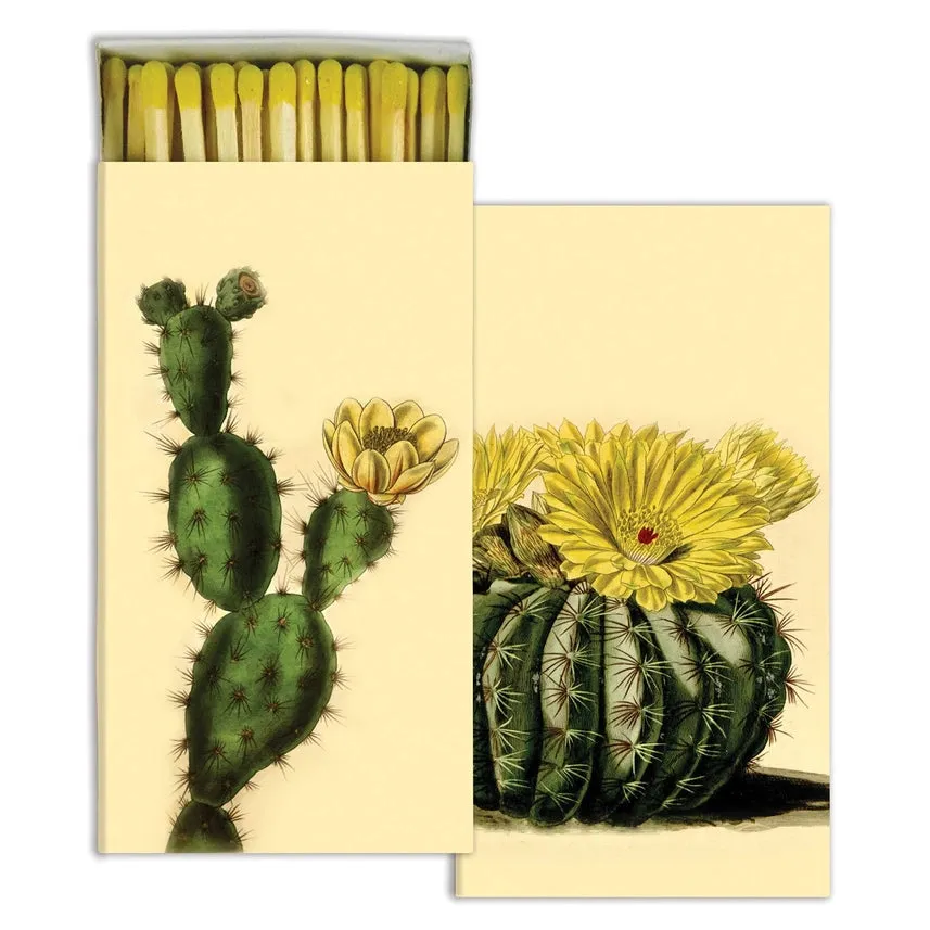 Matches - Cacti