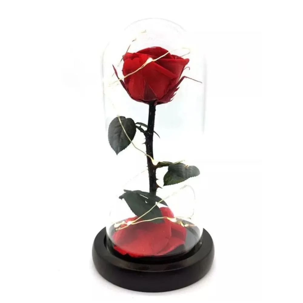 Preserved Rose Enchanted Rose Red Silk Rose in Glass Dome with LED Lights Pine Base, Romantic Home Decor Gifts for Mothers Day Wedding Anniversary Birthday Valentines Day